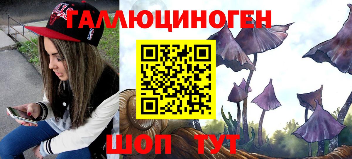 Галлюциногенные грибы MAGIC MUSHROOMS Губкин
