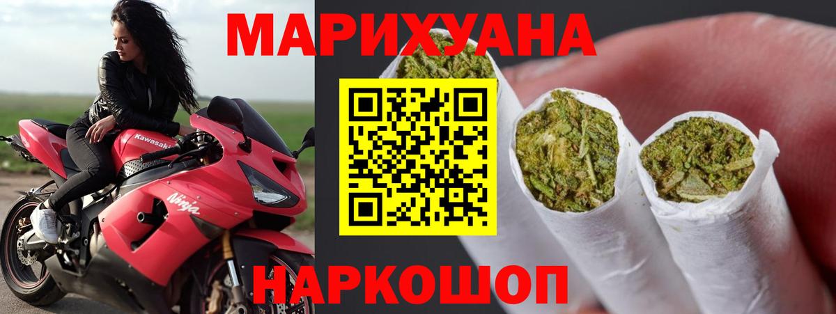 Конопля план  МАРИХУАНА тримм  Вход с VPN  Губкин 